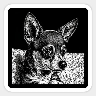 Chihuahua in Pen and Ink Sticker